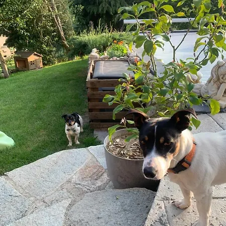 D'hotes Les Vergers De Louise Thiolieres