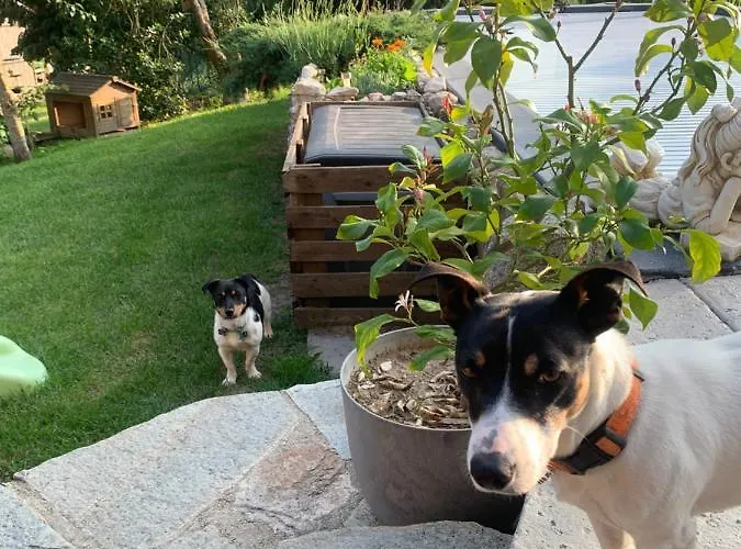 D'hotes Les Vergers De Louise Thiolieres